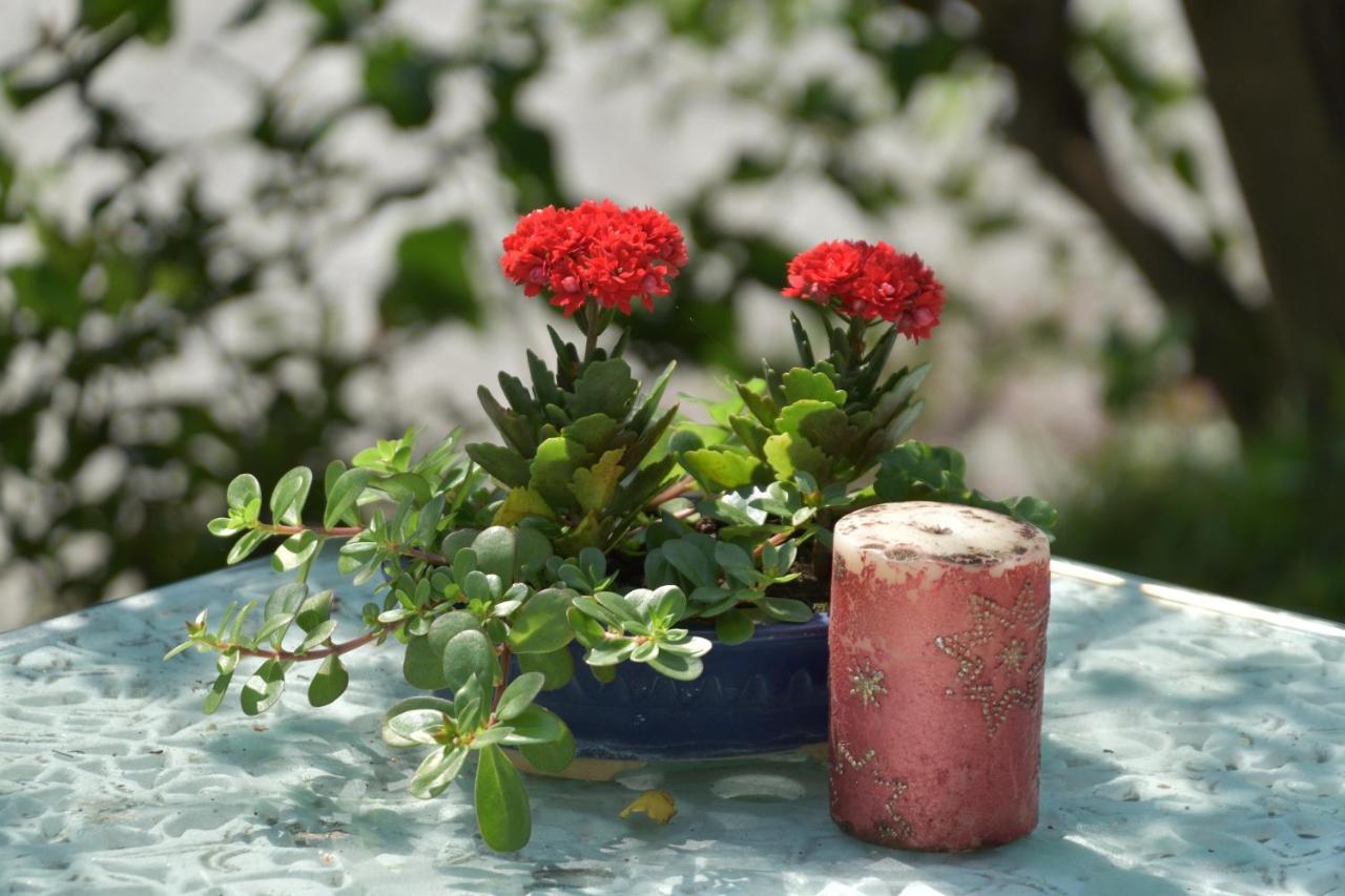 Taitung Linyuan B&B Donghe Buitenkant foto